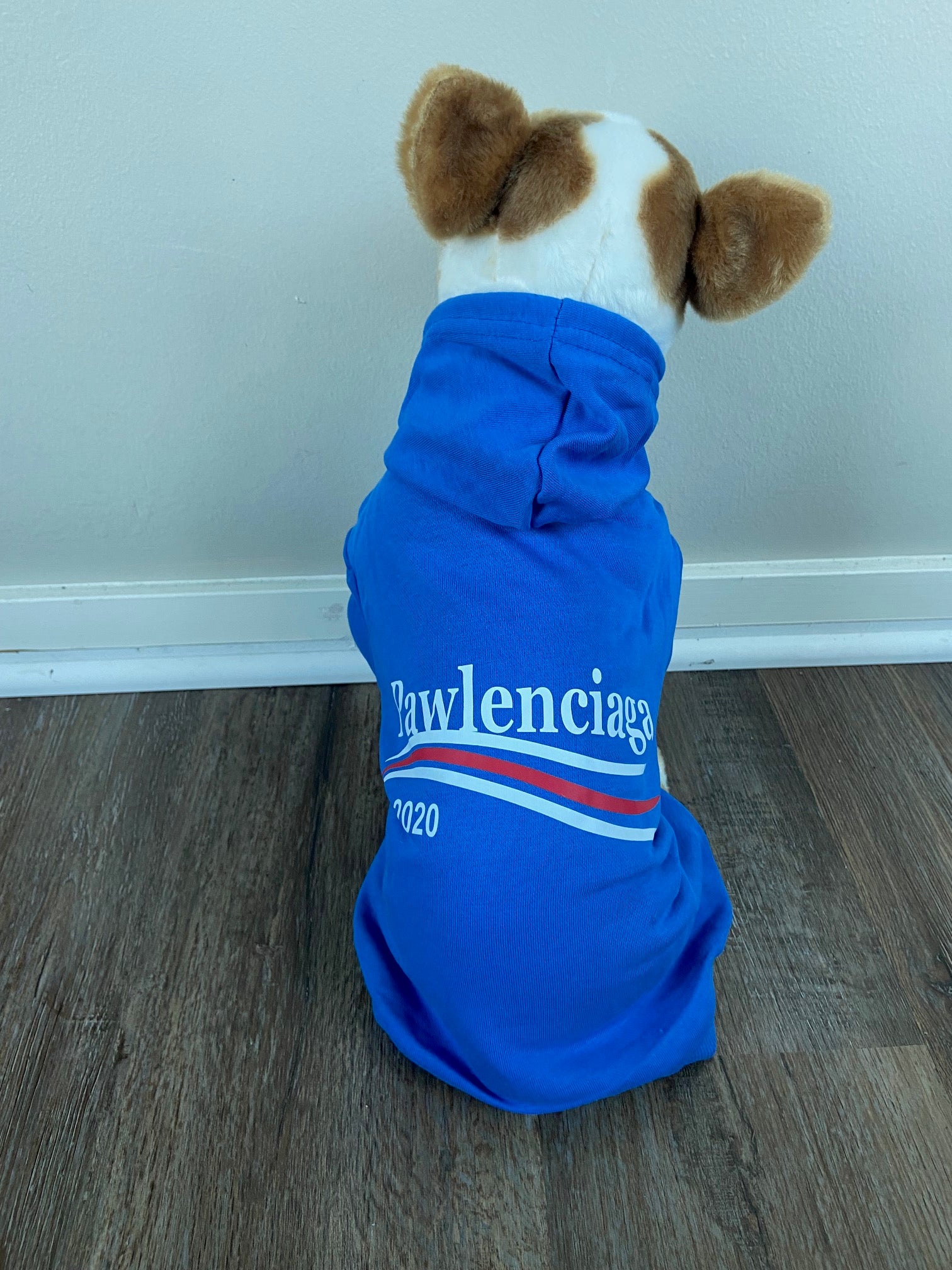 Pawlenciaga top dog hoodie