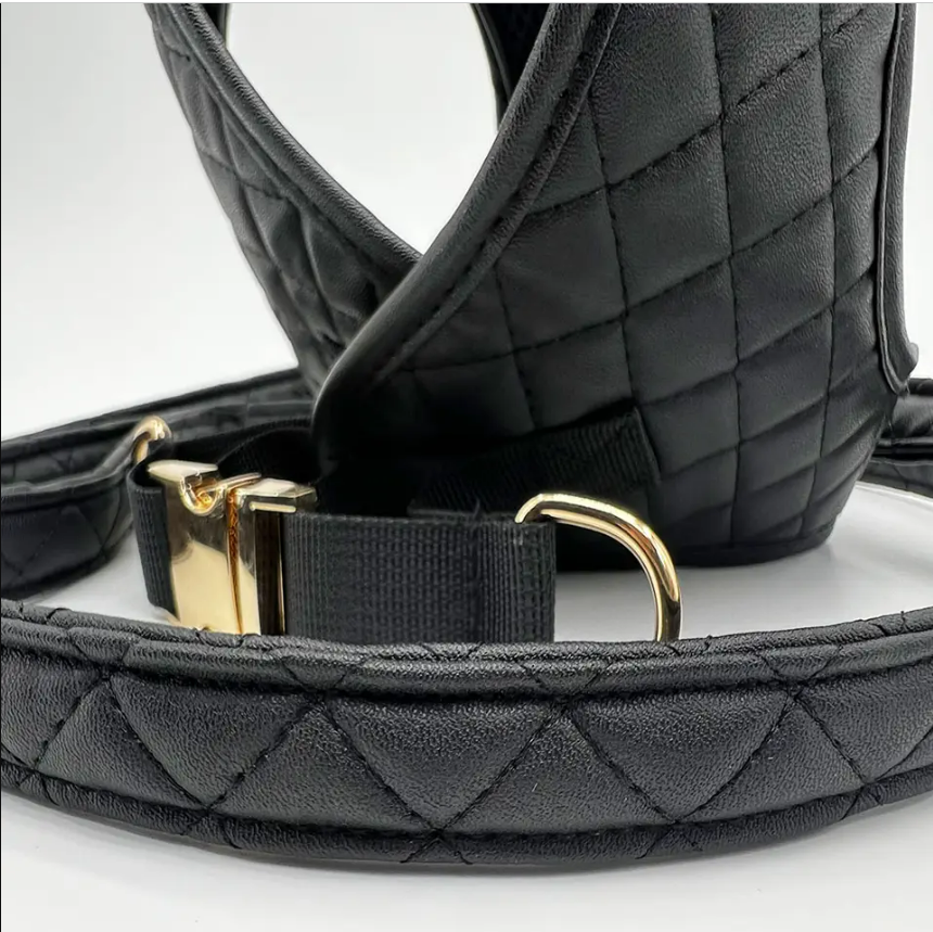 Coco Black Leather 2 Pc Harness Vest Set - Tokemates