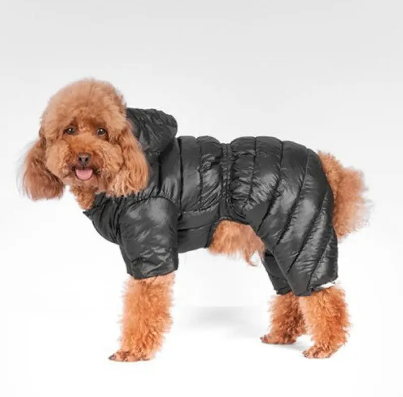 Pet Puffer Jacket - Luxury Warm Winter Snowsuit - Tokemates