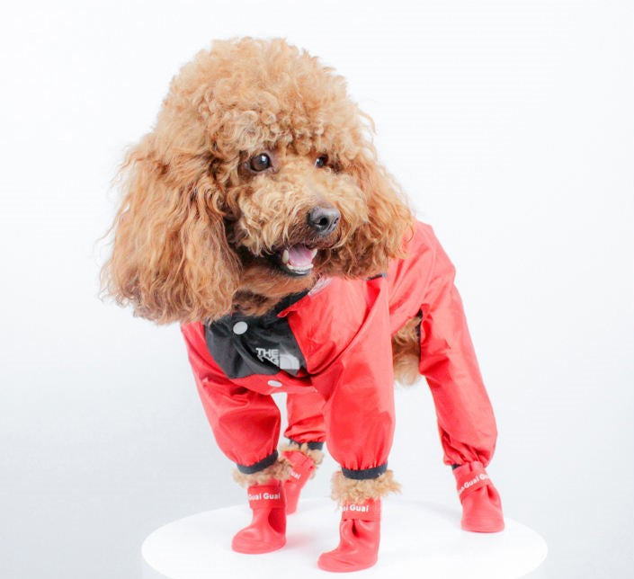 The Dog Face Transparent Raincoat - Tokemates