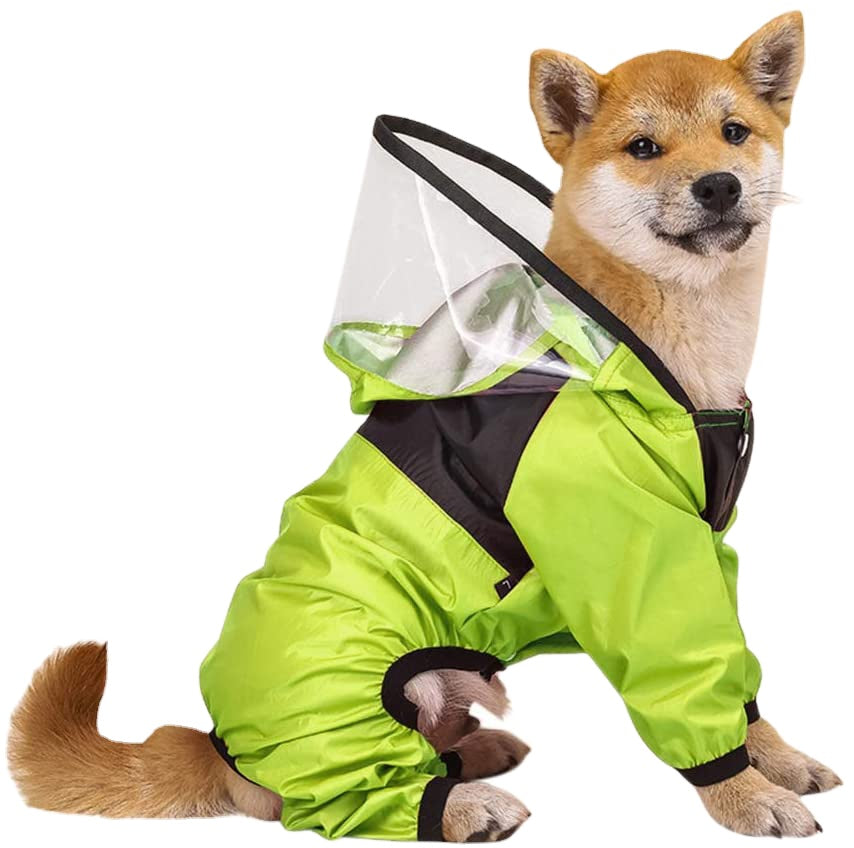 The Dog Face Transparent Raincoat - Tokemates